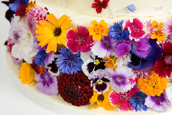 A 'Colour Burst' of Edible Fresh Wild Summer Flowers, covering a Buttercream Iced Wedding Cake, Topped with a Crown.